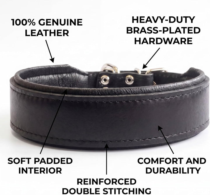 Bestia™ "Classic Echtleder Hundehalsband. 100% Leder. Weich gepolstert. TOP Qualität! XXL- Halsumfan