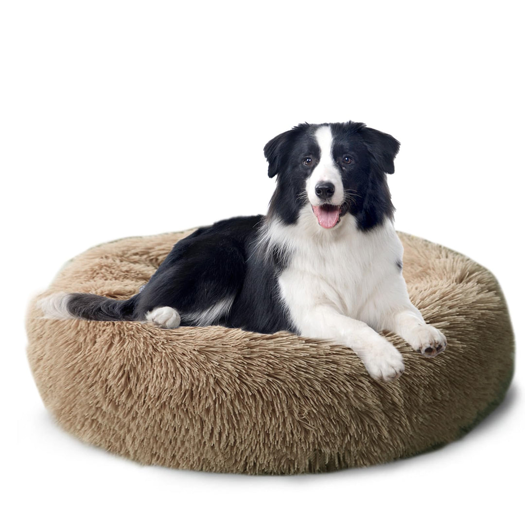 CALIYO Hundebett Mittelgrosse Hunde, Katzenbett Flauschig, Katzenkissen Hundekissen Waschbar, Trockn