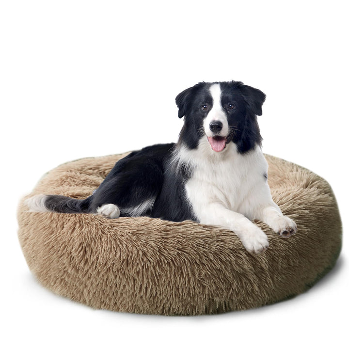 CALIYO Hundebett Mittelgrosse Hunde, Katzenbett Flauschig, Katzenkissen Hundekissen Waschbar, Trockn