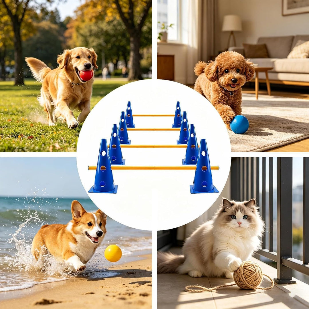 Agility-Kreislauf für Hunde, interaktives Spiel- und Trainingsgerät für Hunde, für kleine, mittelgro