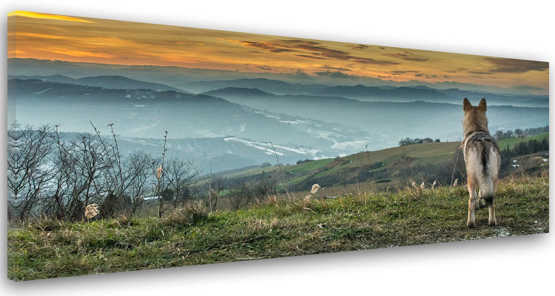 Feeby Bilder Wolf Tier Berge Nebel 100x40 cm Wohnzimmer Schlafzimmer Büro Flur Küche Wandbilder Mode