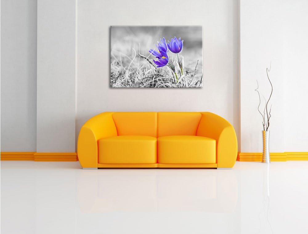Pixxprint schöne Krokusse als Leinwandbild | Grösse: 100x70 cm | Wandbild | Kunstdruck | fertig besp
