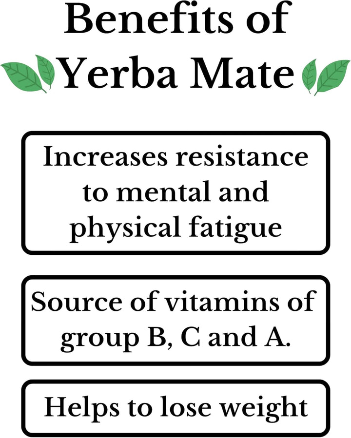 Mate für Yerba Mate Argentino, Mattes Johannisbrotholz und Edelstahl, matter Kürbis mit Glühbirne, m