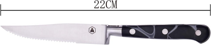 LAGUIOLE - Laguiole 4268473 Set mit 4 Steakmessern (22 cm) mit Edelstahlklinge und Harzgriff