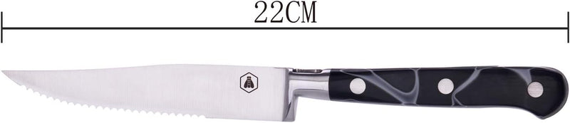 LAGUIOLE - Laguiole 4268473 Set mit 4 Steakmessern (22 cm) mit Edelstahlklinge und Harzgriff