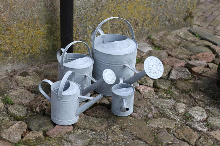 Esschert Design Altzink Giesskanne 6,6 Liter, 49,5x22x28 cm 49.5 x 22 x 28 cm Single, 49.5 x 22 x 28