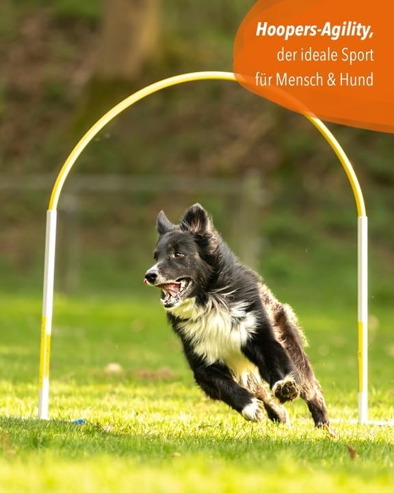 Hoopers Anfänger‑Set – 4 Hoops & Gate – VDH‑konform, UV‑beständig & flexibel – Blaue Hoops mit bunte