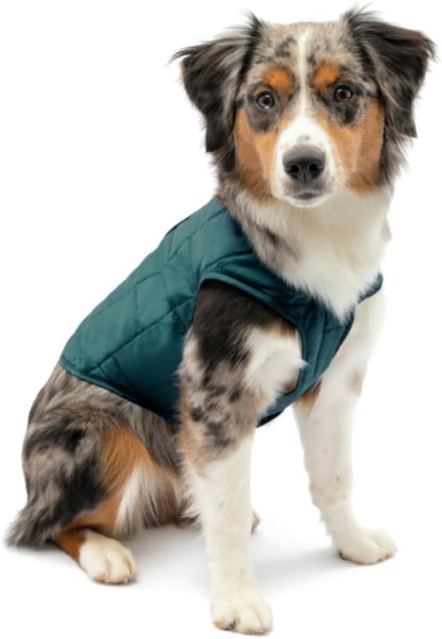 Kurgo Loft Hundejacke, Mit Hundegeschirr kombinierbar, Wasserdicht und reflektierend, Ideal für den
