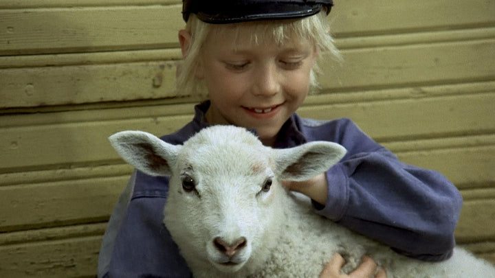 Pippi Langstrumpf / Michel aus Lönneberga - Spielfilm Komplettbox [7 DVDs], DVD
