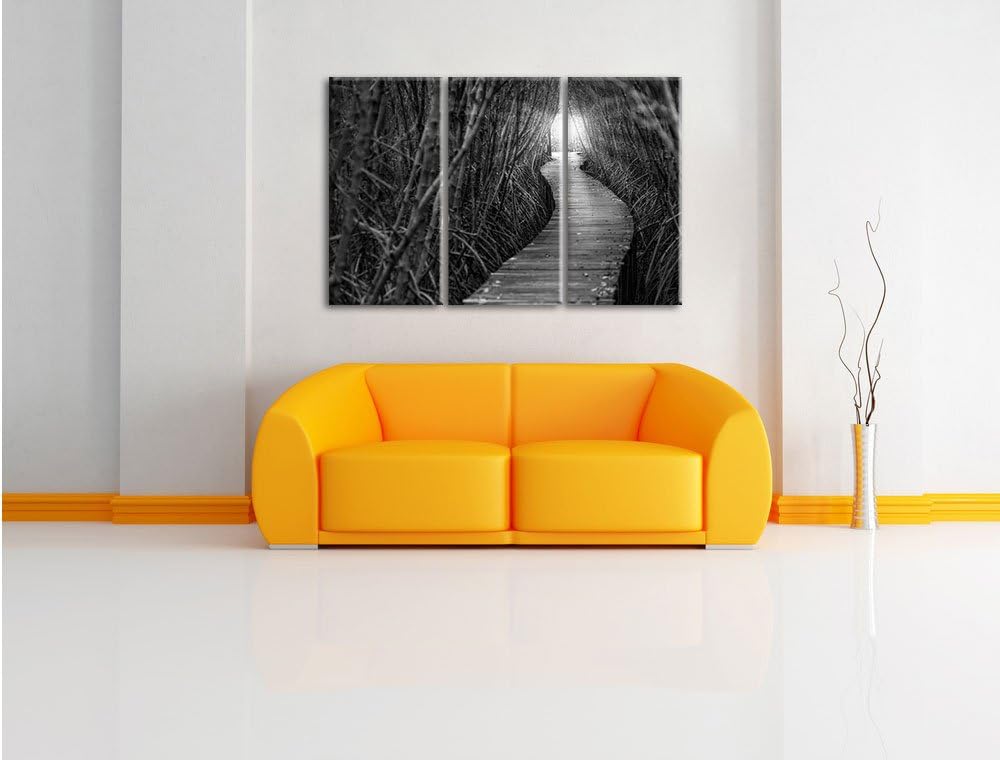 Pixxprint Gehweg im Wald Kunst B&W / 3-Teilig/Gesamtmass 120cm Leinwandbild bespannt auf Holzrahmen/