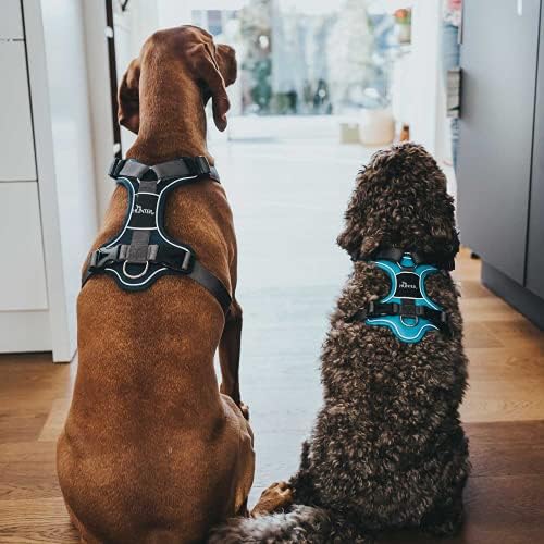 HUNTER DIVO Hundegeschirr, S-M, 52-68 cm, dunkelblau/grau 52 - 68 cm dunkelblau/grau, 52 - 68 cm dun