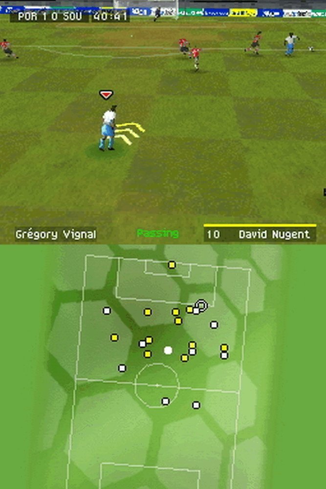 FIFA 09 Nintendo DS Standard, Nintendo DS Standard