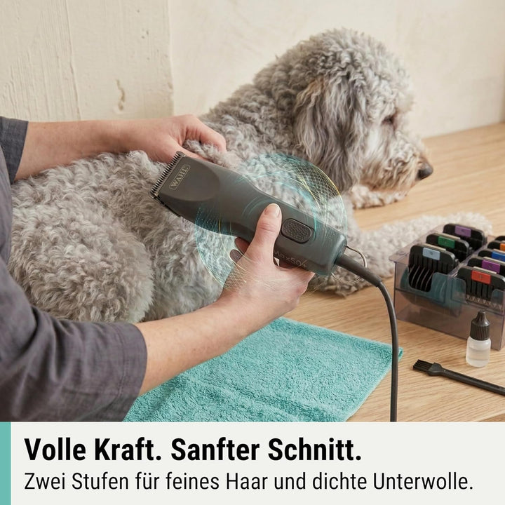 Agrarzone Edition Hunde Schermaschine Moser Max 50 mit Aufsteckkamm-Set | Tierhaarschneider für die