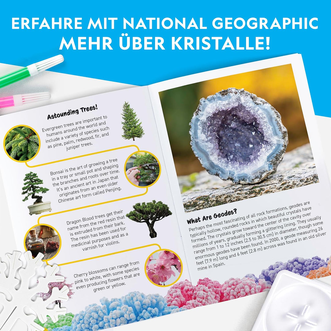 NATIONAL Geographic Bastelset für Kinder – Kristallzucht-Set, 6 Kristallbäume in 6 Stunden wachsen L