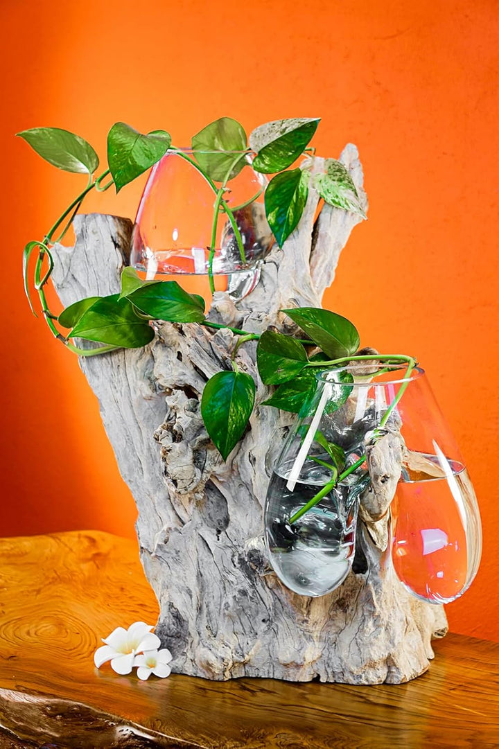 Geschmolzenes Glas auf Wurzelholz - Glasschale auf Wurzel - Teak Holz mit Glasvase oder Schale (2 Gl