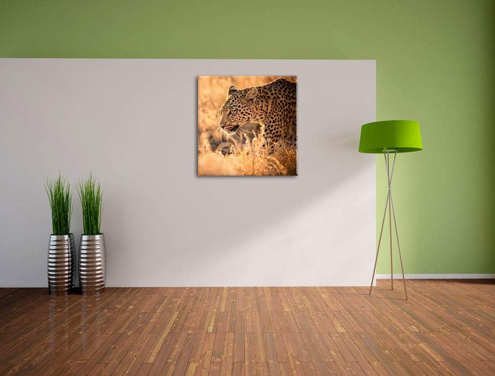 Jagender Leopard, Format: 70x70 auf Leinwand, XXL riesige Bilder fertig gerahmt mit Keilrahmen, Kuns