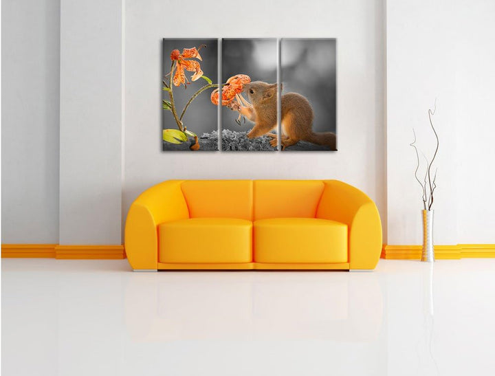 Pixxprint Eichhörnchen riecht an Einer Blume als Leinwandbild/Grösse: 3 Teilig (120x80 cm) cm/Wandbi