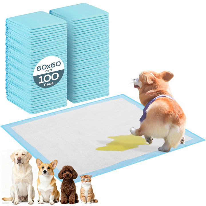 PIPI Matten für Hunde, 100 Stück Trainingspads, Wickelunterlagen Einweg 60X60cm, Einmalunterlagen, A