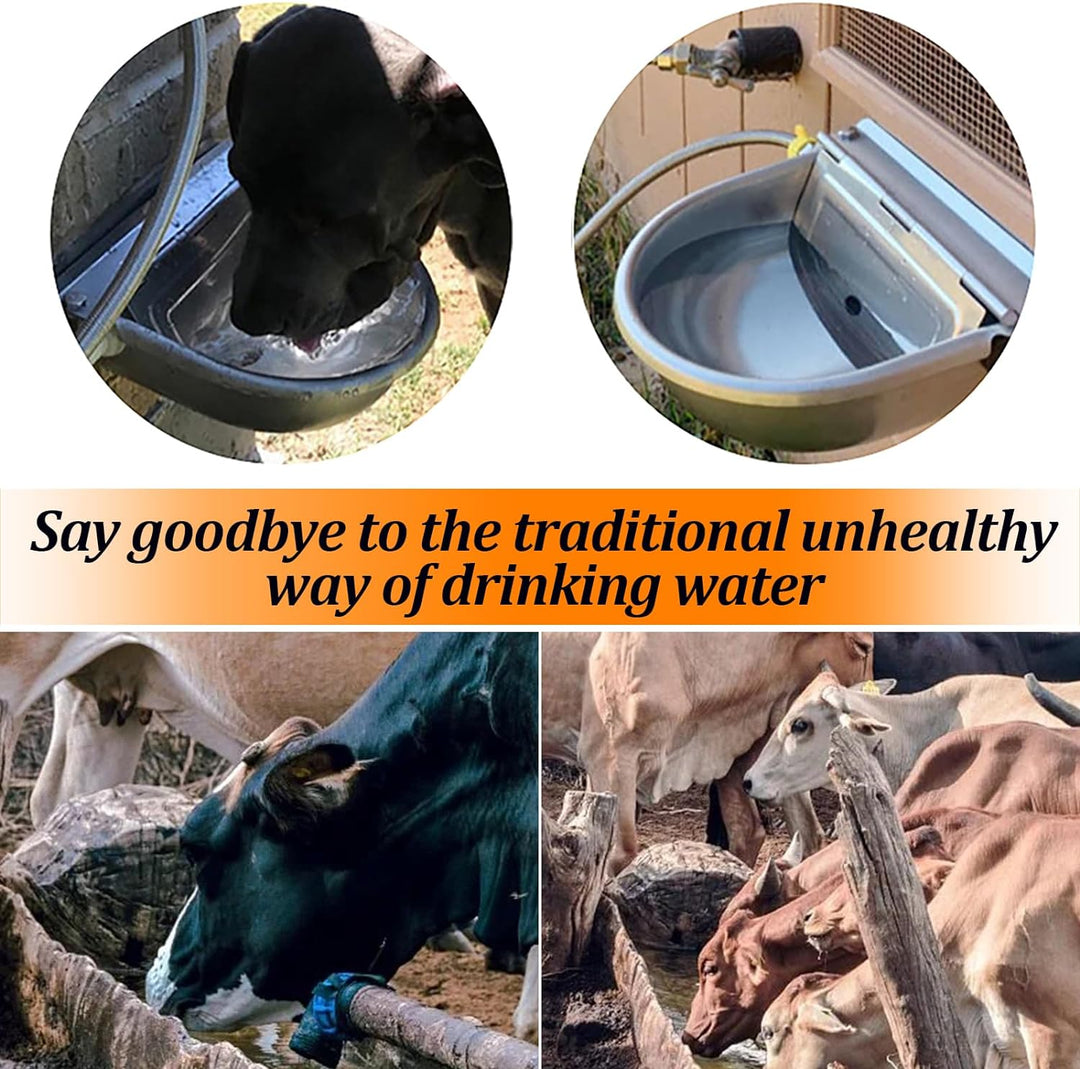 Automatischer Kuhtrinkwassernapf, Edelstahltränke für Hunde, Pferde, Rinder, Ziegen, Schafe, mit Kug