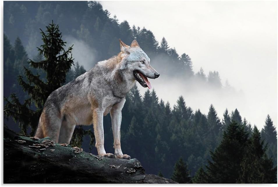 Feeby. Wandbilder - 1 Teilig- 70x100 cm - Bilder Kunstdrucke Deko Panel, WOLF, NATUR, GRAU, 70x100 c