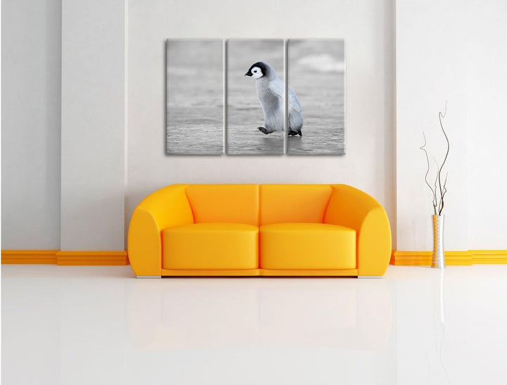 Pixxprint Niedliches Kaiserpinguinkücken als Leinwandbild/Grösse: 3 Teilig (120x80) cm/Wandbild/Kuns