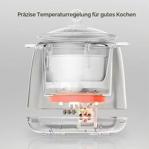Elektrischer Eierkocher, 6 Eierkapazität, Schnell-Eierkocher mit Automatischer Abschaltung, 6-in-1-E