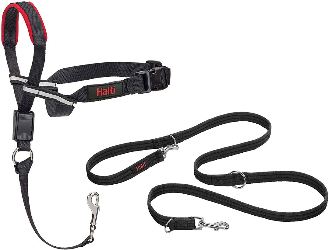 Halti Optifit Halfter und Trainingsleine Kombipack, Stop Dog Pulling on Walks with Halti, Inklusive