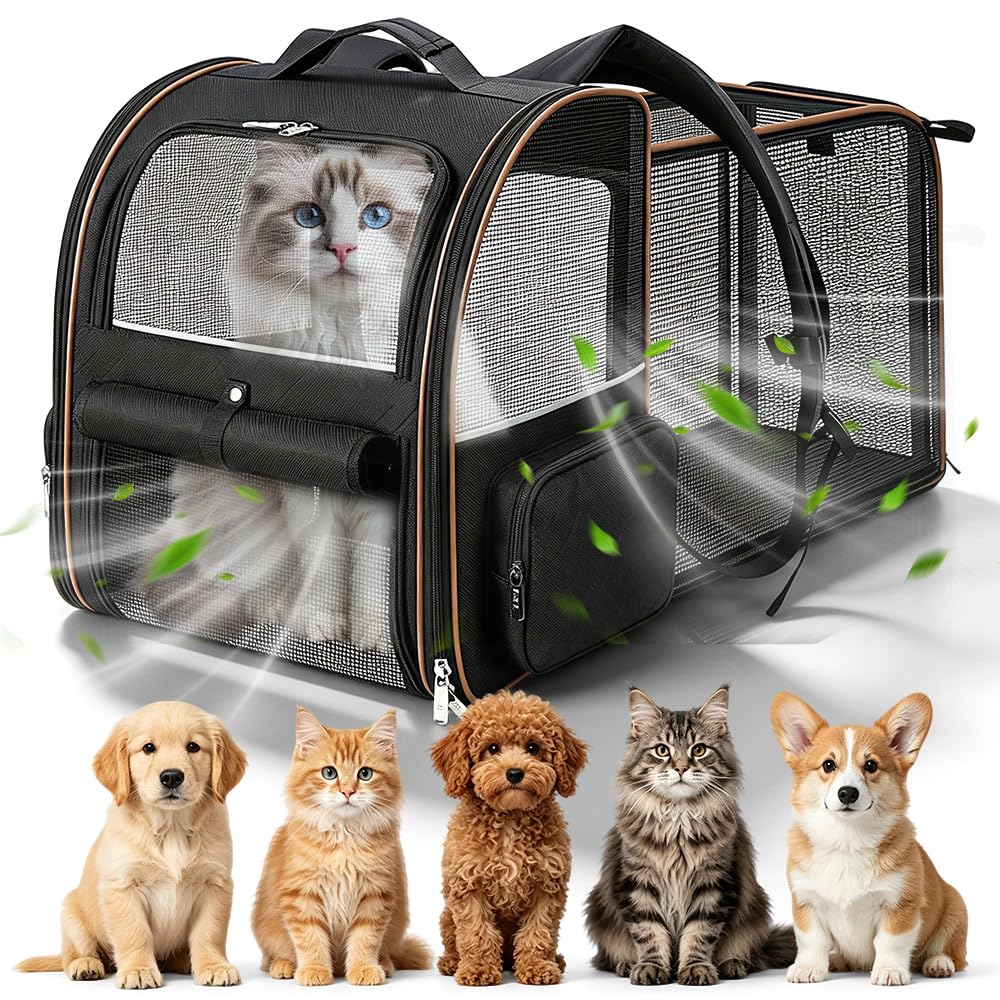Erweiterbar Katzenrucksack Hunderucksack für Katzen Hunde bis 7kg, Schwarz | Katzentransporttasche m