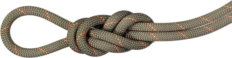 Mammut 9.9 Gym Workhorse Classic Einfachseil Classic Standard boa 30 m, Classic Standard boa 30 m