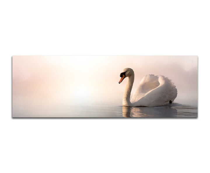 Paul Sinus Art Panoramabild auf Leinwand und Keilrahmen 150x50cm See Schwan Nebel Sonnenaufgang
