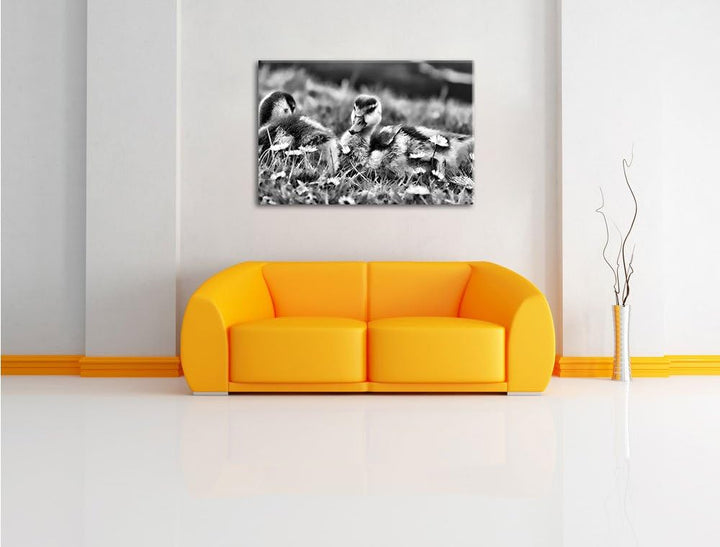 Monocrome, Kühe auf Wiese, Format: 100x70 auf Leinwand, XXL riesige Bilder fertig gerahmt mit Keilra