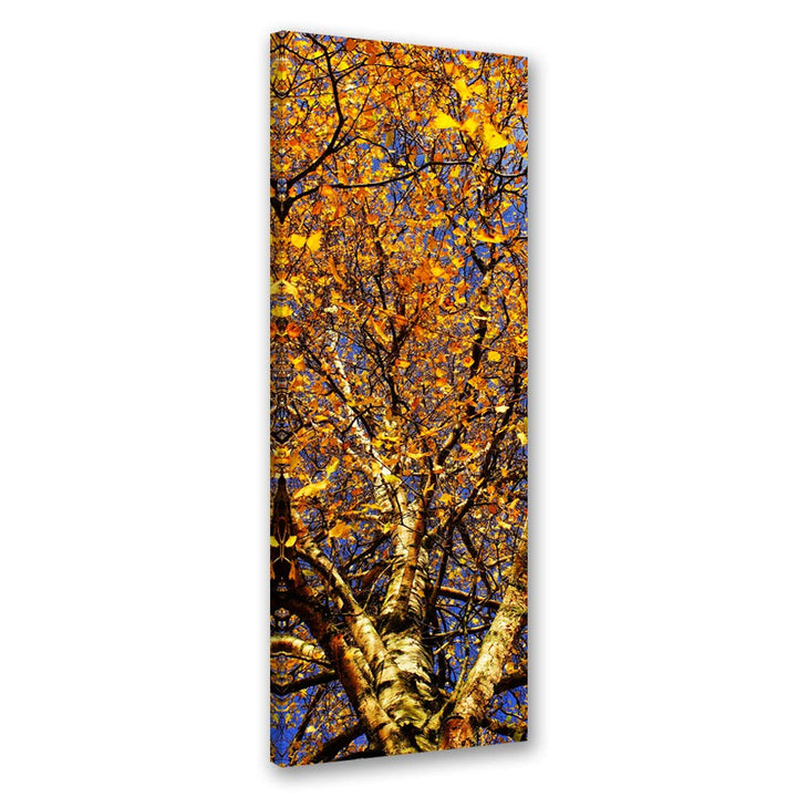 Feeby Leinwand Bilder - Natur - Wald - 40x120 cm- Deko Wohnzimmer - Wandbilder Schlafzimmer - Deko A