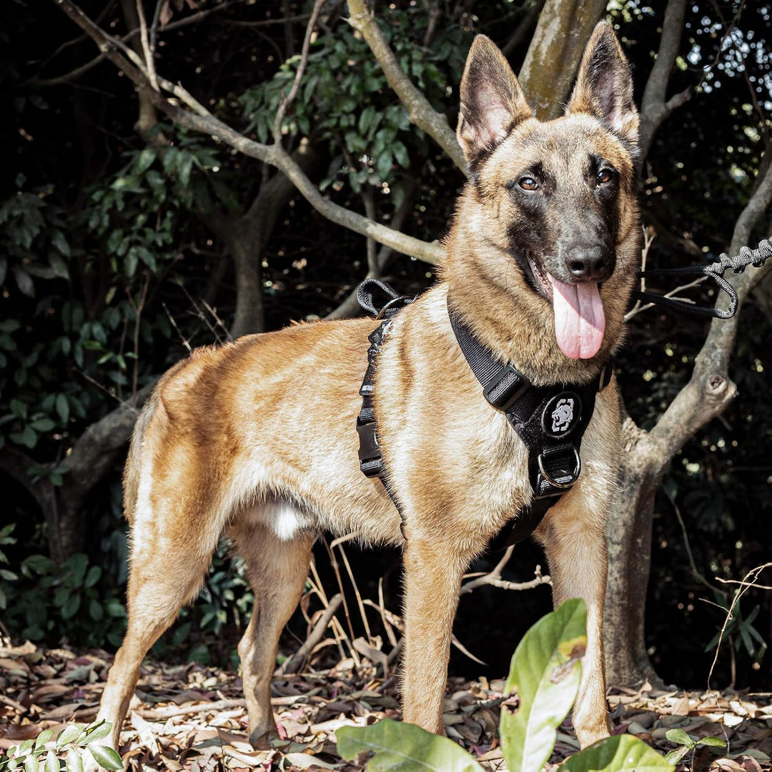OneTigris No-Pull Hundegeschirr Goliath Geschirr mit Griff Taktisches Einstellbar Geschirr für Hunde