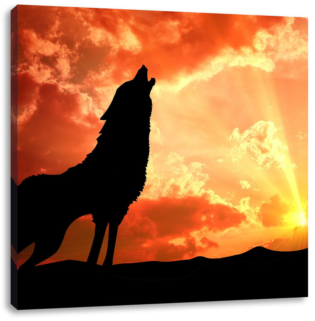 Pixxprint Wolf Heulen als Leinwandbild/Grösse: 70x70 cm/Wandbild/Kunstdruck/fertig bespannt, 70x70
