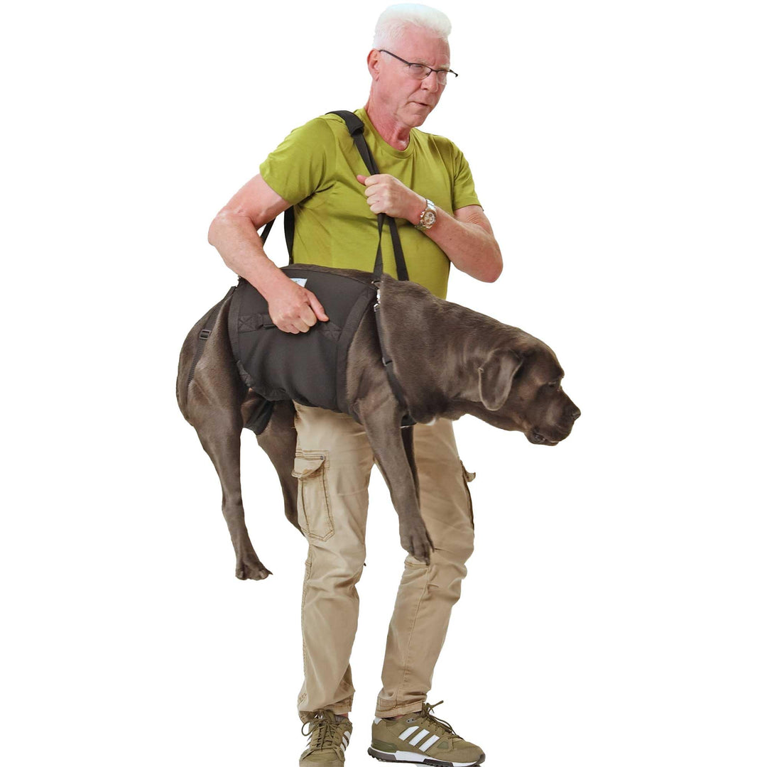 Pfaff Nature Pet® Hundetragehilfe Basic – Gehhilfe für Hunde aus Neopren, Mobilitätshilfe mit Schult