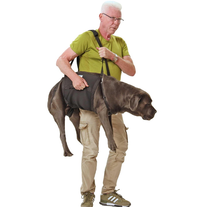 Pfaff Nature Pet® Hundetragehilfe Basic – Gehhilfe für Hunde aus Neopren, Mobilitätshilfe mit Schult