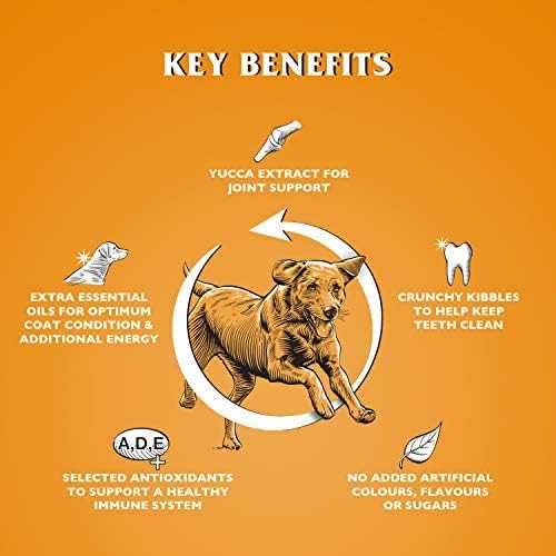 Complete Hund Food - 15k Dr John Gold Medal