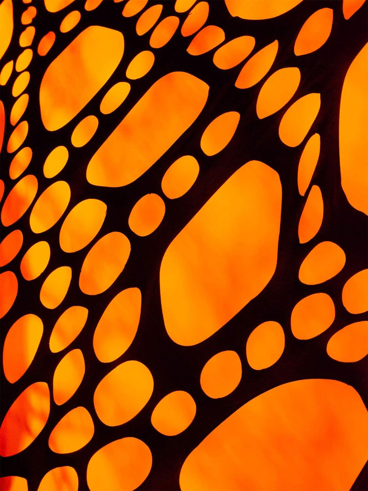 PSYWORK Schwarzlicht Segel Spandex | 3D Neon Spiderweb Black | Orange | 3 x 3m | UV-aktiv | Leuchten