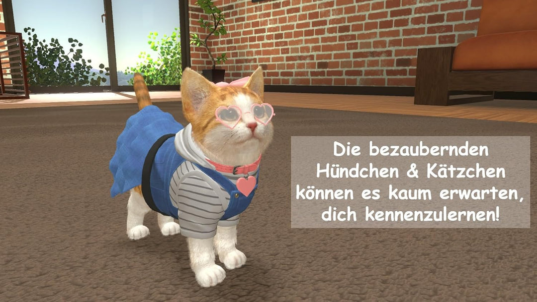 Sold Out Little Friends: Dogs & Cats - [Nintendo Switch] Single, Single