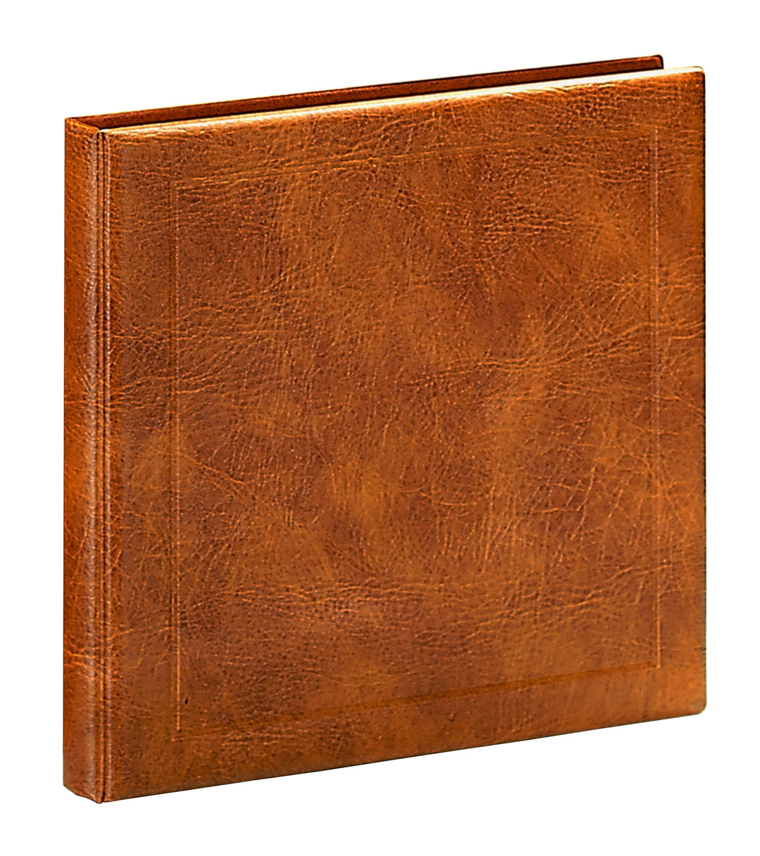 SAFE 1001 Maxi-Album für Postkarten | mit 8 Blättern für 96 Karten | 405 x 380 x 55 mm