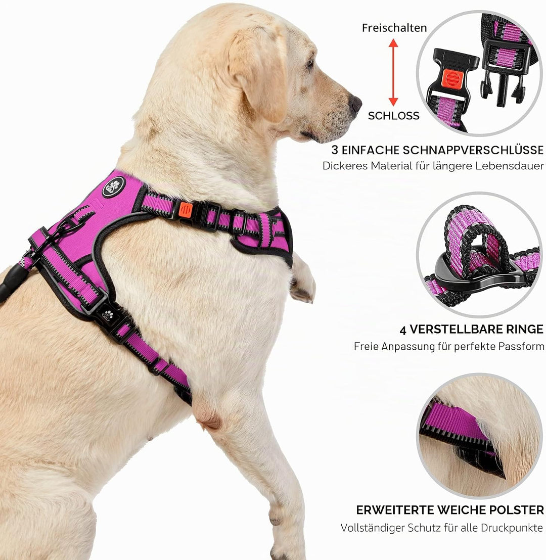 NESTROAD Hundegeschirr Kleine Hunde Rose Rot, Anti Zug Geschirr Gepolstert Brustgeschirr für Kleine
