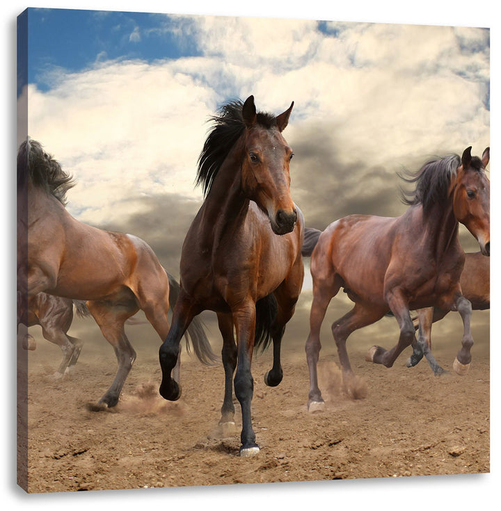 Western Pferde Cowboy, Format: 70x70 auf Leinwand, XXL riesige Bilder fertig gerahmt mit Keilrahmen,