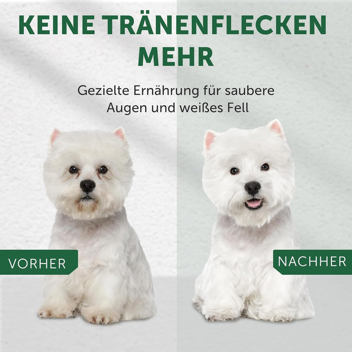 Nature's Protection Superior Care Trockenfutter für Hunde - Hypoallergenes Hundefutter Getreidefrei