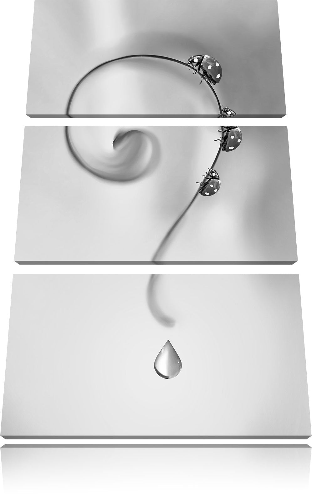Pixxprint Marienkäfer Folgen dem Fragezeichen Kunst B&W 3-Teiler Leinwandbild 120x80 Bild auf Leinwa