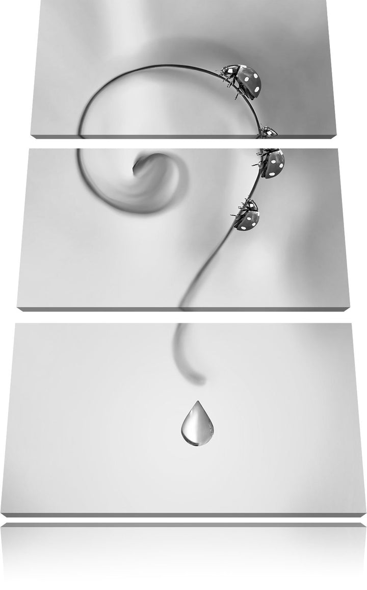 Pixxprint Marienkäfer Folgen dem Fragezeichen Kunst B&W 3-Teiler Leinwandbild 120x80 Bild auf Leinwa