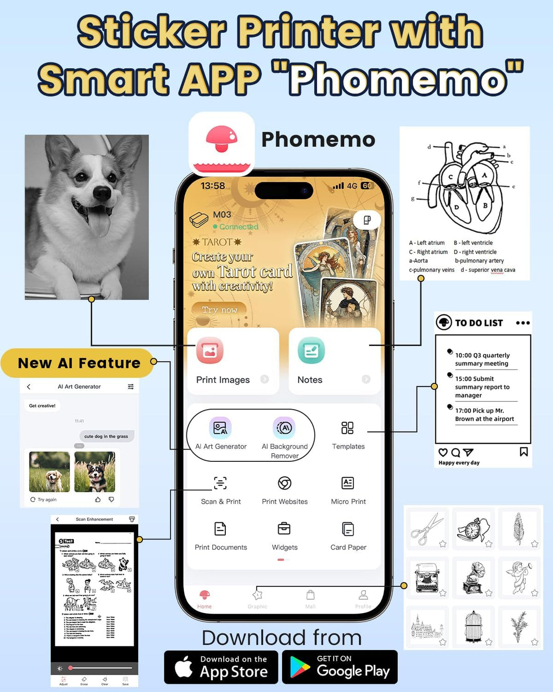 Phomemo M03 Tragbarer Fotodrucker - Handy Thermodrucker, Druckgrösse 53 & 80mm, Kompatibel mit iOS u