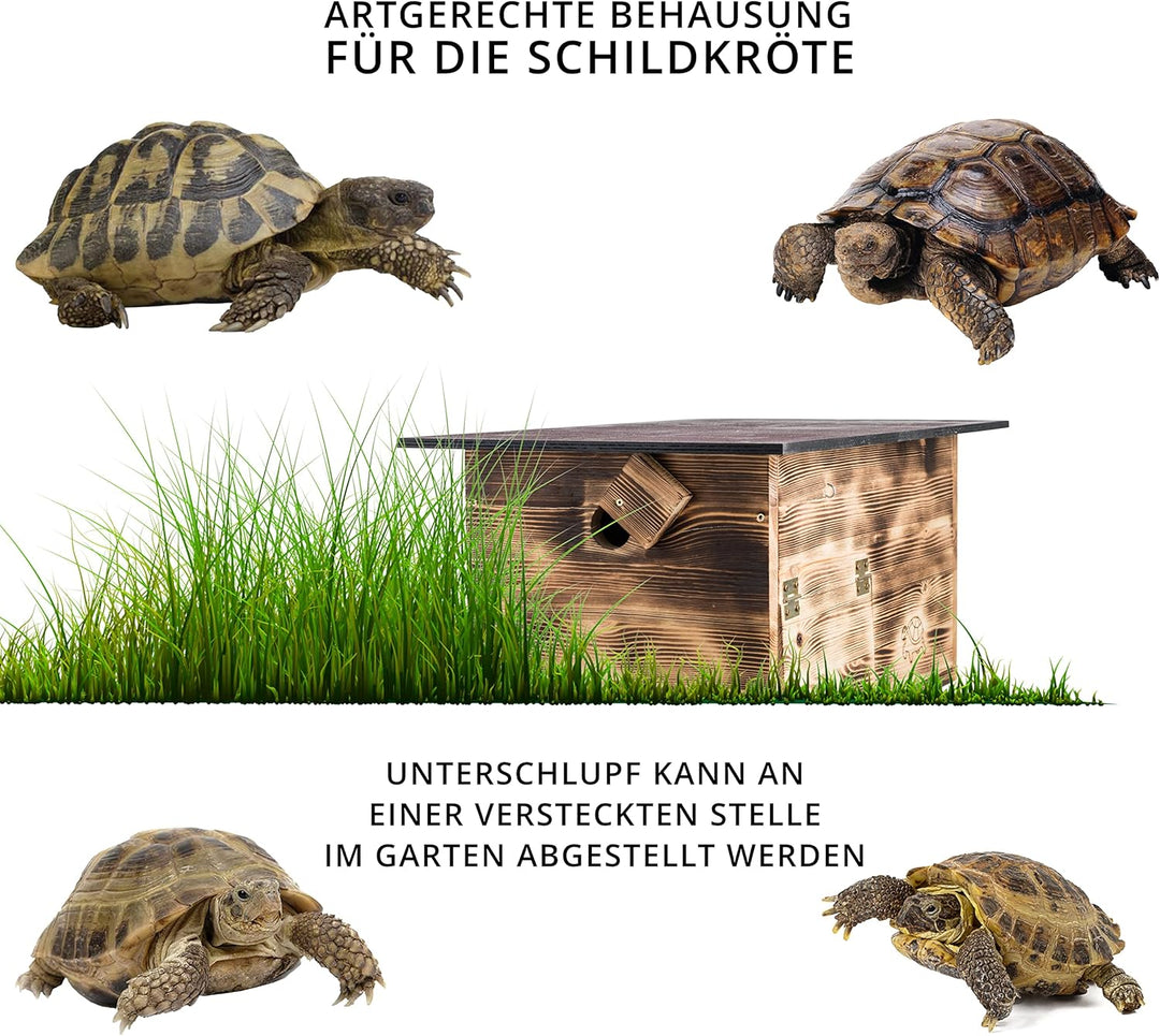 Premium Schildkrötenhaus (SH1) Gebrannt aus 20mm starken Vollholz - Wetterfest mit Boden und Tür inc