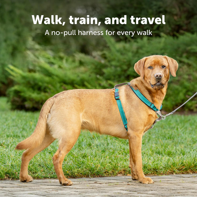 PetSafe 3in1 Harness, from The Makers of The Easy Walk Harness, Fully Adjustable No-Pull Dog Harness