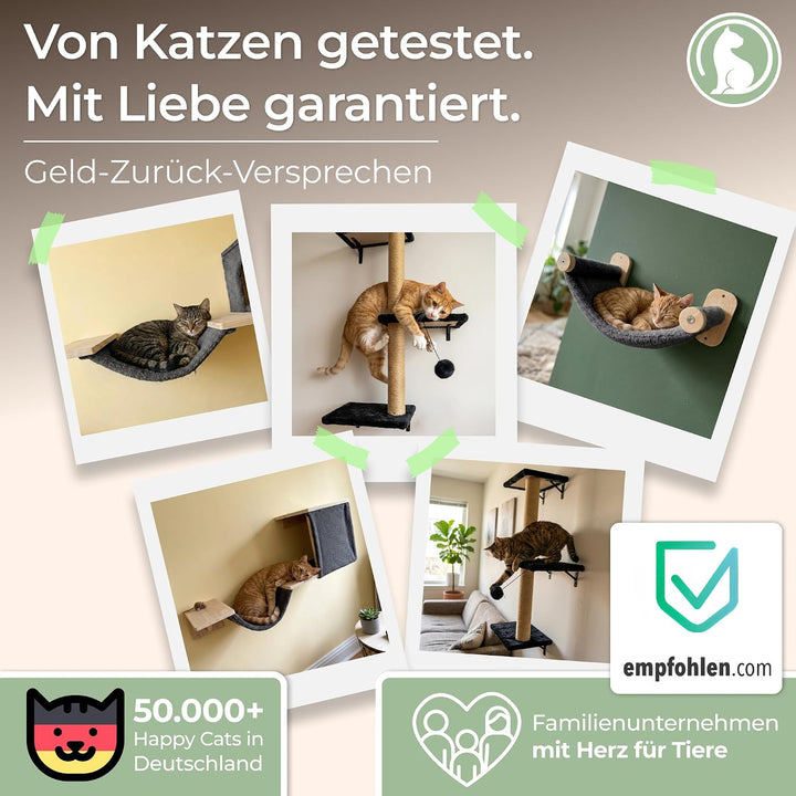 WOOWOOD® Kletterwand Katzen Set inkl. Katzentreppe Wand I Kratzbaum Wand I Hängematte Katze I Wandkr