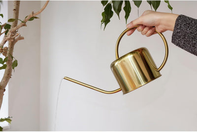 Kikkerland Giesskanne, Metall, Gold, 37.5 x 13 x 19.5 cm